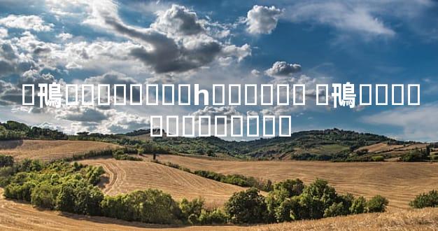 �鳵��������һ�����Ǯ �鳵�������ں�����